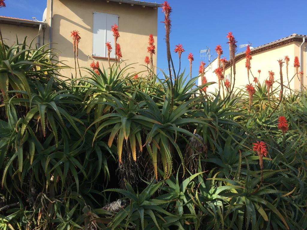 Appartamento Le Melody Antibes Esterno foto